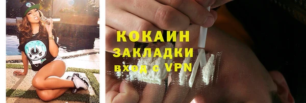прущие грибы Бронницы