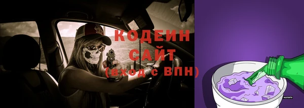 прущие грибы Бронницы