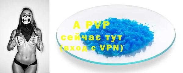прущие грибы Бронницы