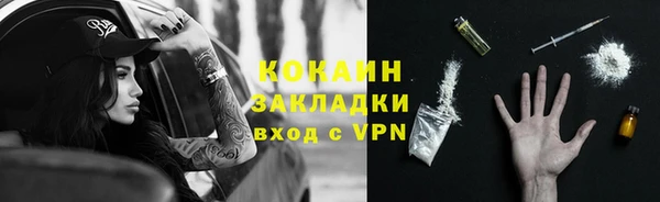 прущие грибы Бронницы